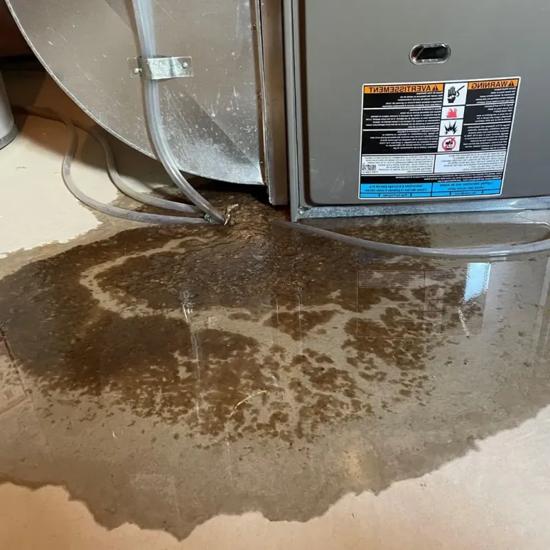 Pipe Burst and Leak Restoration in Lithopolis, OH