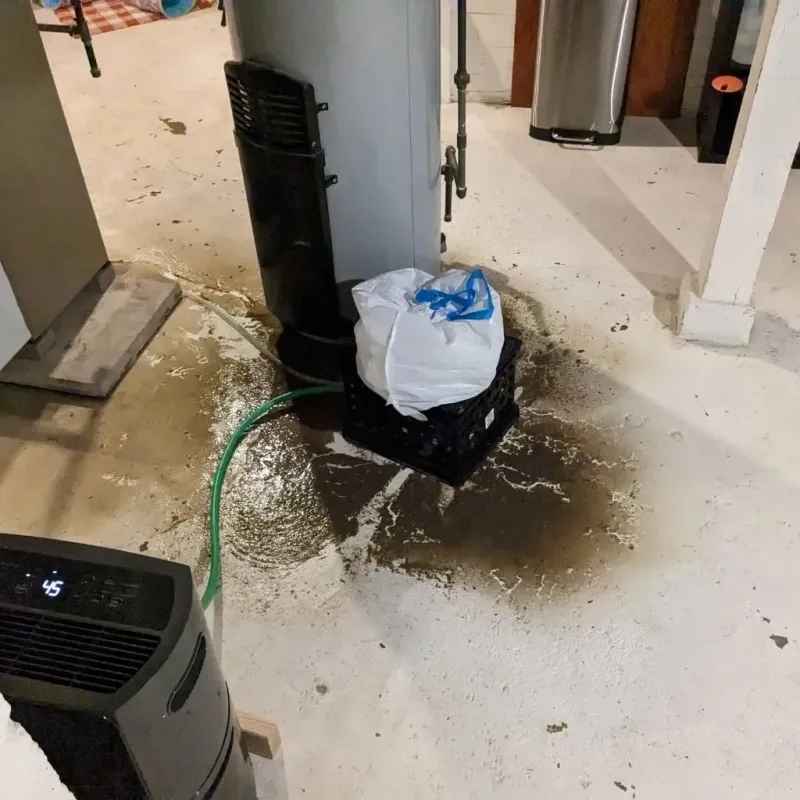 Sewage Backup Cleanup Service in Lithopolis, OH